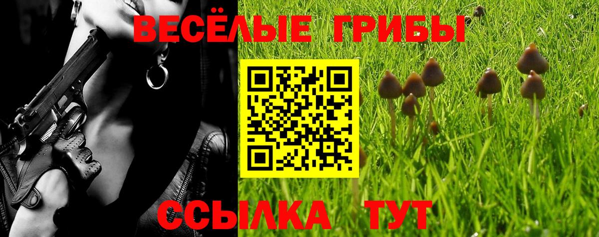 Выкса  Галлюциногенные грибы MAGIC MUSHROOMS  Вход с VPN 
