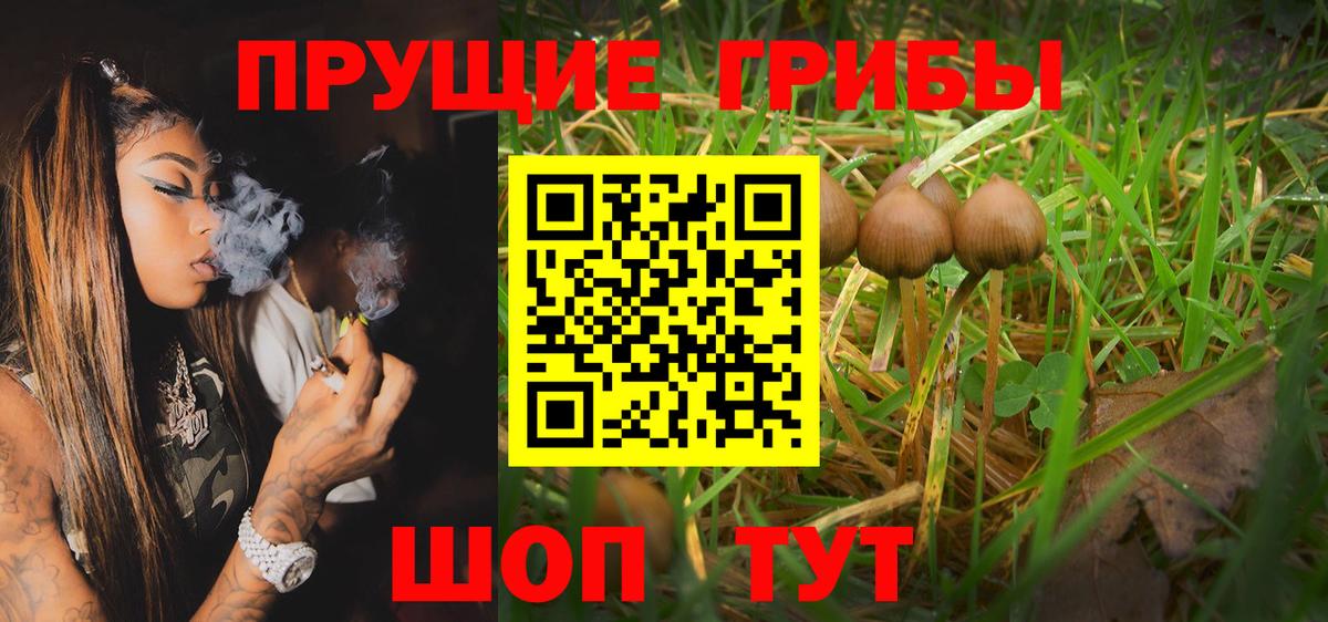 Галлюциногенные грибы Cubensis Выкса